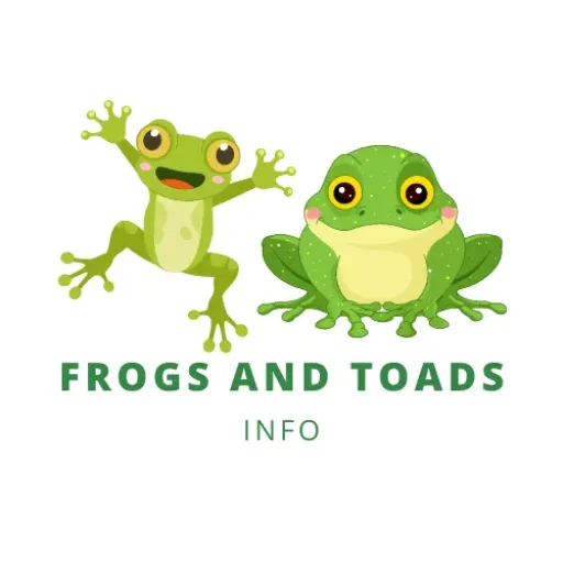 Frogs And Toads